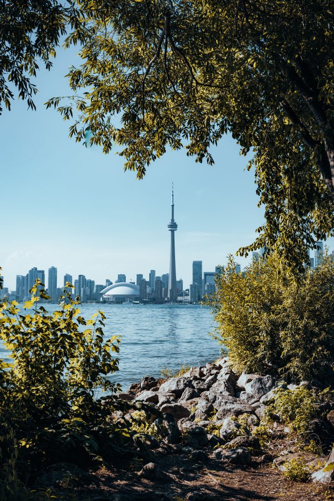 Delhi to YYZ Flights | Direct & Cheap Flights from Delhi to Toronto | Tabeer Travels
